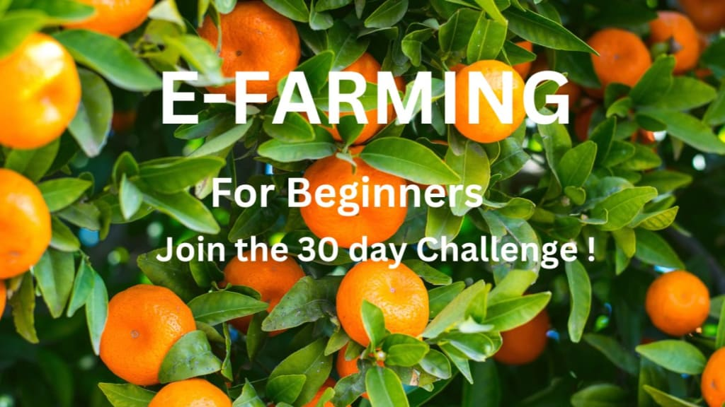 Read more about the article The Best eFarming Challenge:2023 Transforming Agriculture Through Technology